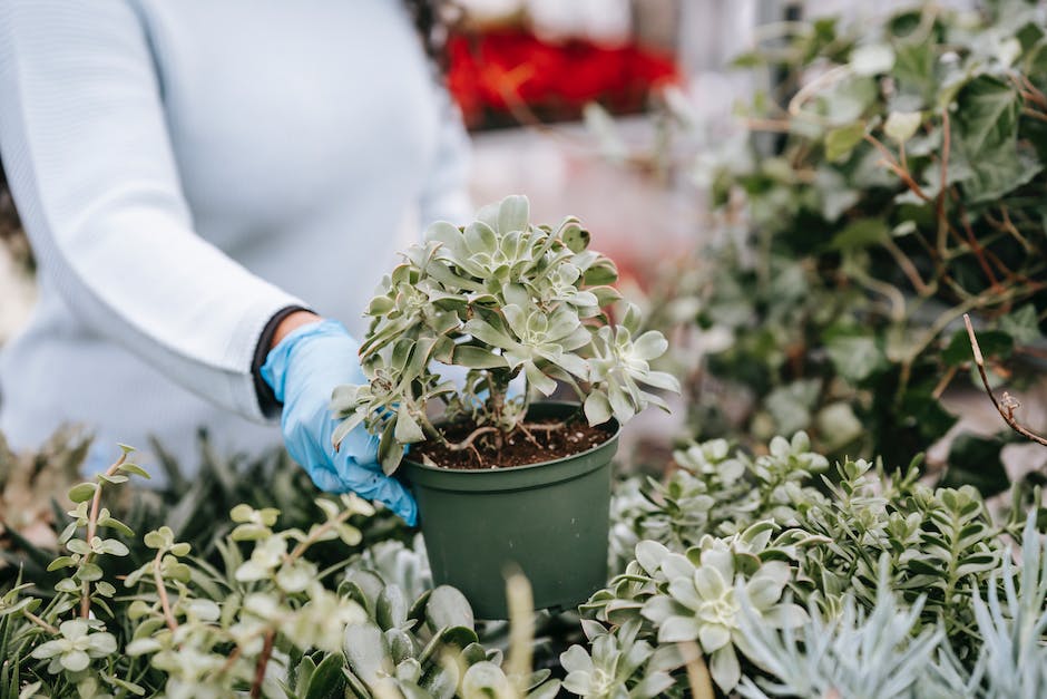 how influencers marketing motivates consumers’ buying behaviour