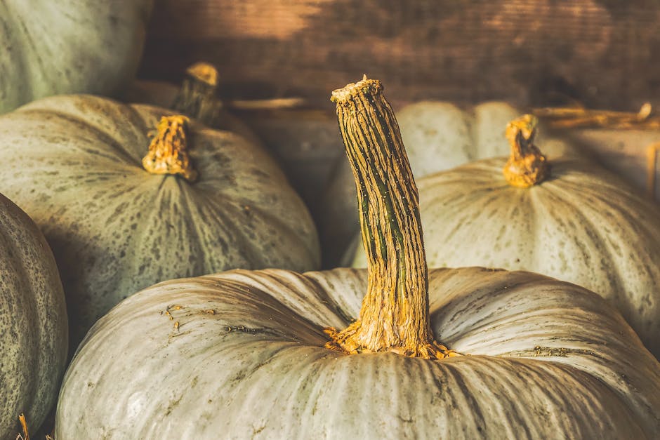 how to grow your brand with influencer marketing quizlet