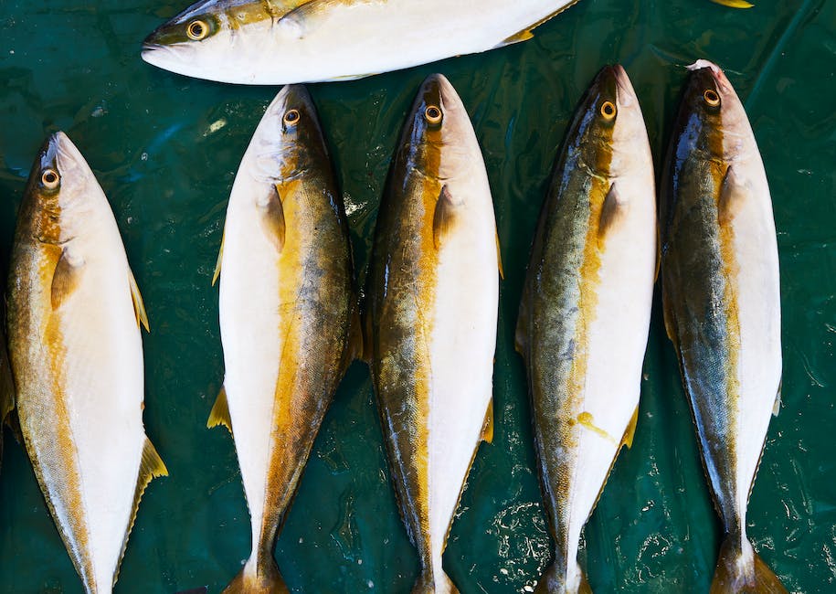how to transition from marketing to product management